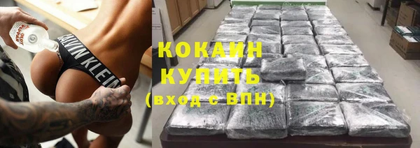 сатива Кукмор