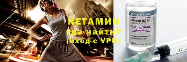 сатива Кукмор