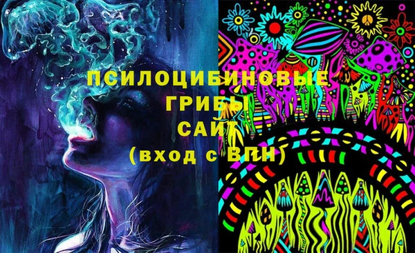 apvp Калининец