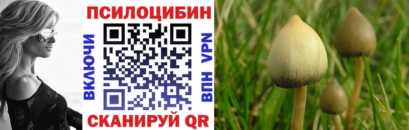 хочу   Якутск  MEGA ССЫЛКА  Псилоцибиновые грибы ЛСД 